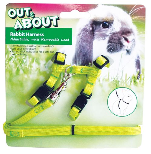 Picture of OUT&ABOUT RABBIT HARNESS&LEAD SET/GREEN