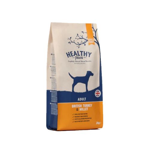 British Turkey & Millet Adult Dog Food 2kg 