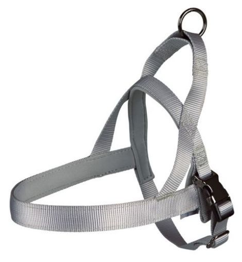 Picture of EXPERIENCE NORWEGIAN HARNESS S-M 30-50CM/25MM SILV