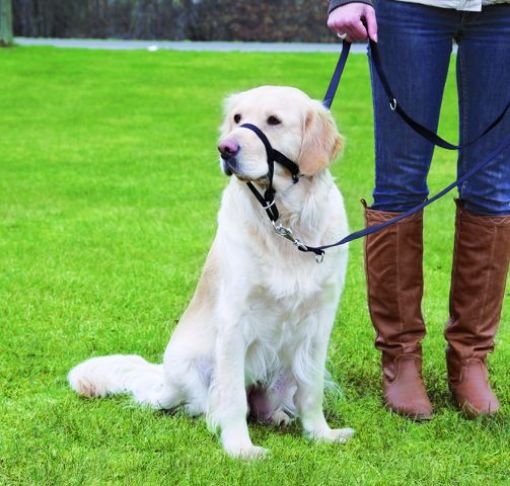 Picture of TOP TRAINER TRAINING HARNESS L-XL/37CM