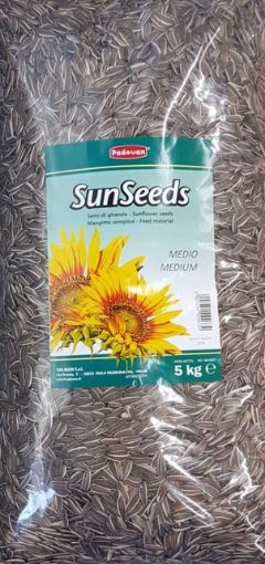 Picture of SUNSEEDS SUNFLOWER MEDIUM 5KG