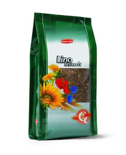 Picture of LINO LINSEEDS 1KG