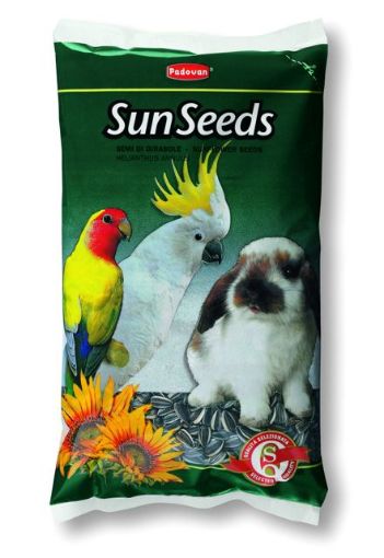 Picture of SUNSEEDS SUNFLOWER MEDIUM 500G