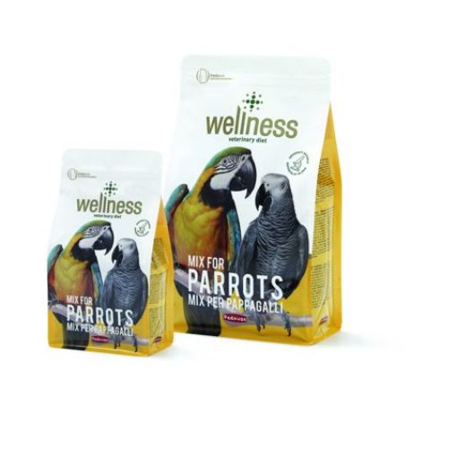 Picture of WELLNESS MIX FOR PARROTS 750G