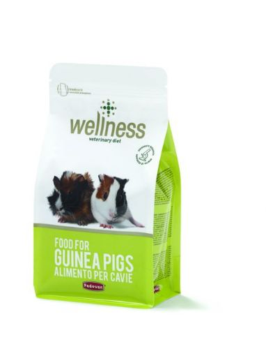 Picture of WELLNESS GUINEA PIGS 1KG