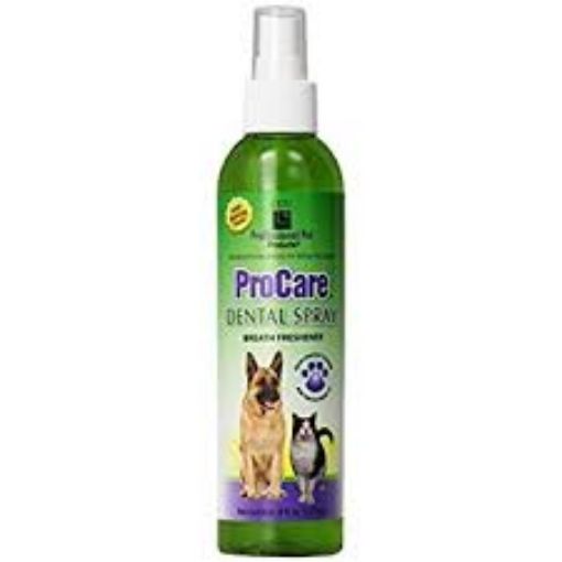 Picture of PPP PROCARE DENTAL SPRAY 237ML