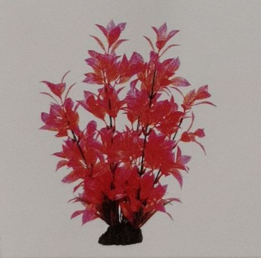 Picture of AQUA DECOR HIGH PLANT RED