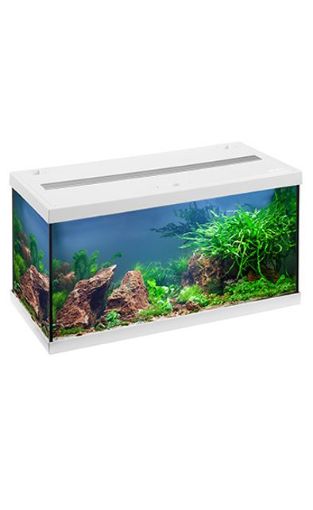 Picture of aquastar54LED/COMPLETE AQUARIUM 60X30X30CM/54L/WHITE