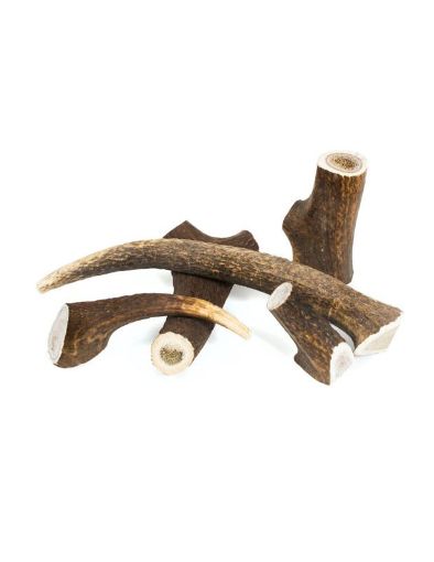 Picture of FC WILD Nature Deli DEER ANTLER M 40-75G