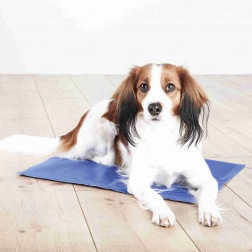 Shop Trixie Cooling Mat for Dogs 