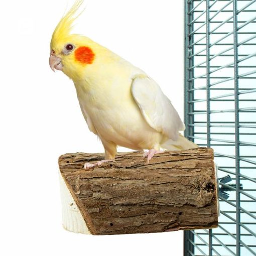 Picture of BACK ZOO NATURE BIRD TOY WOOD SLICE PERCH SM