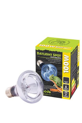 Picture of NEODYMIUM DAYLIGHT BULB SCREW 100W