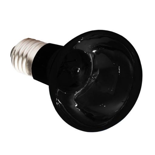 Picture of KOM MOONLIGHT BULB SCREW 150W