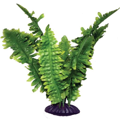 Picture of KOM STANDING PLANT BOSTON FERN SM 25CM