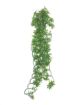 Picture of KOM HANGING PLANT PAPAYA LEAF VINE 60CM