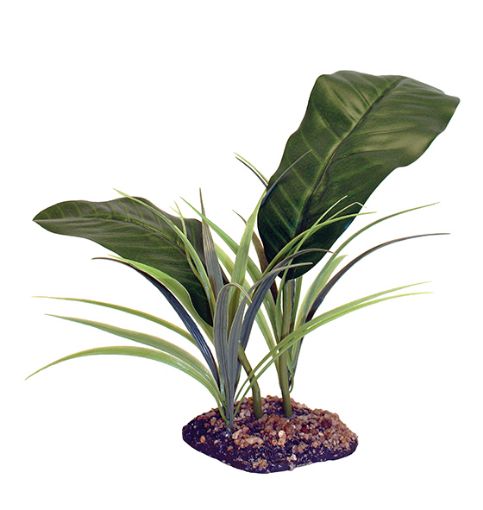 Picture of KOM STANDING PLANT EVERGREEN CANOPY 35CM