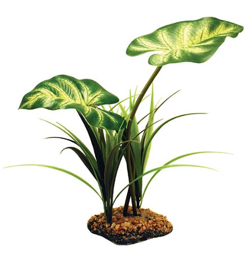 Picture of KOM STANDING PLANT BROADLEAF CANOPY 26CM