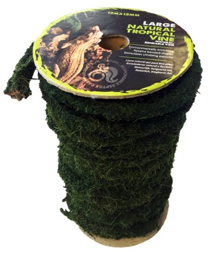 Picture of KOM NATURAL TROPICAL VINE REEL LG 15MX15MM X 1 METRE