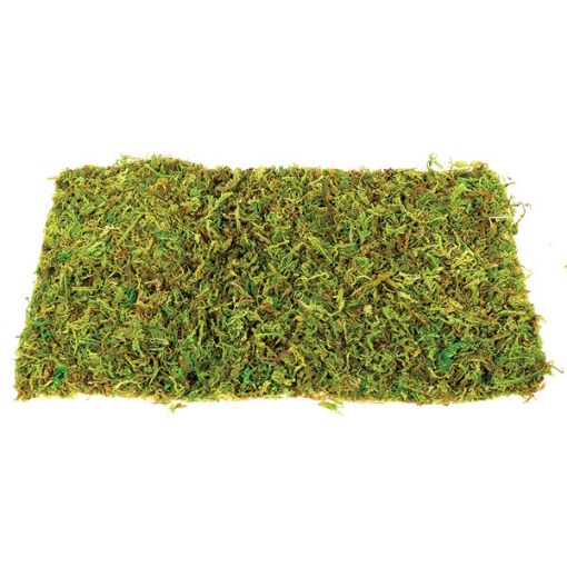 Picture of KOM NATURAL MOSS MAT SM 30X20X0.8CM/2PCS