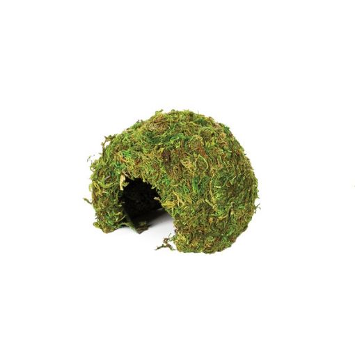 Picture of KOM NATURAL MOSS CAVE SM 11X11X9CM