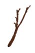 Picture of KOM TROPICAL VINE BRANCH SM 10X48CM