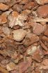 Picture of KOM FOREST TERRAIN ORCHID BARK CHIPS 6L