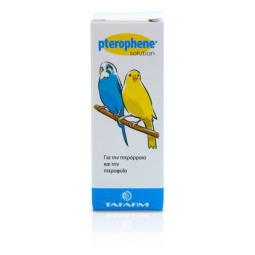 Picture of PTEROPHENE SOLUTION 15ML
