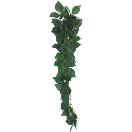 Picture of KOM HANGING PLANT FICUS SILK VINE 60CM