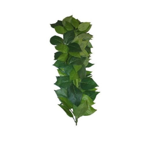 Picture of KOM HANGING PLANT FICUS SILK VINE 45CM