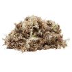 Picture of KOM HABITAT MOSS COMPACT BRICK 20X10.5X1.5CM