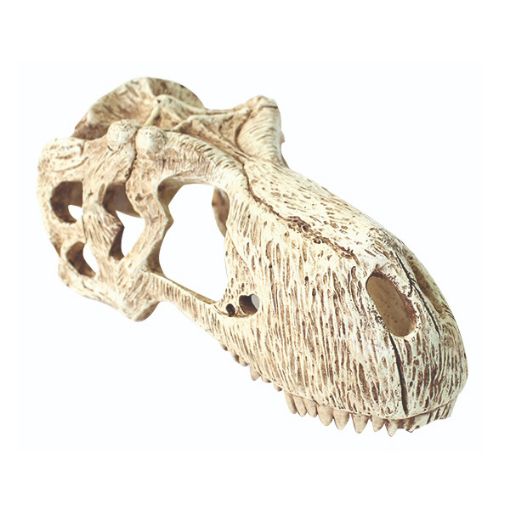 Picture of T-REX SKULL XLG 26X11X13CM