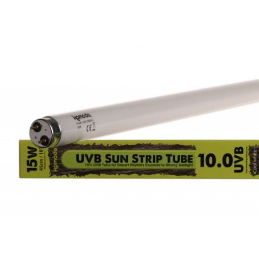 Picture of FLUORESCENT T8 BULB UVB 10% 15W