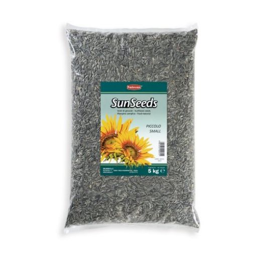 Picture of SUNSEEDS SUNFLOWER SMALL 5KG