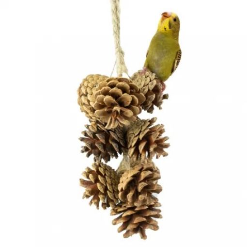 Picture of BACK ZOO NATURE BIRD TOY PINE CONE GARLAND