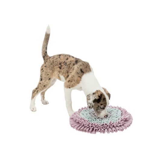 Picture of JUNIOR STRATEGY GAME SNIFFLING CARPET 38CM/LEVEL 1