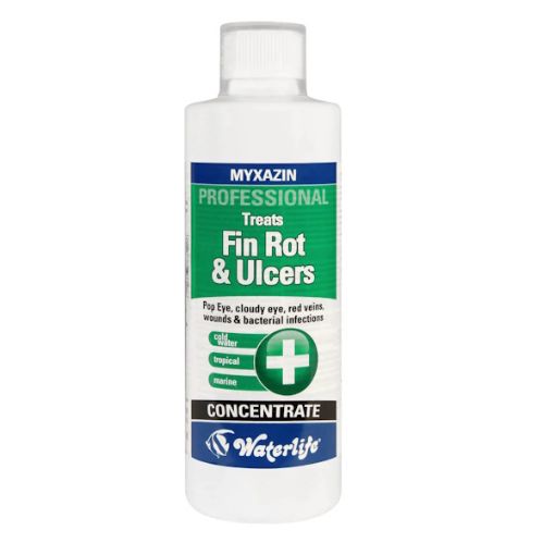 Picture of TREATS FIN ROT&ULCERS/MYXAZIN 500ML