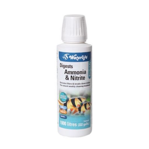 Picture of DIGESTS AMMONIA&NITRITE/BACTERLIFE 100ML