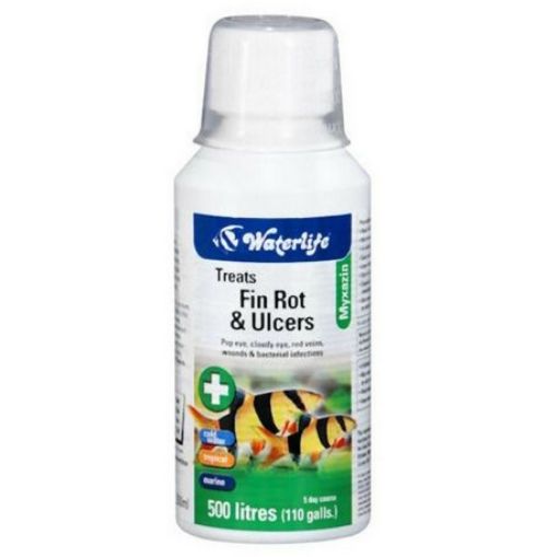 Picture of TREATS FIN ROT&ULCERS/MYXAZIN 100ML