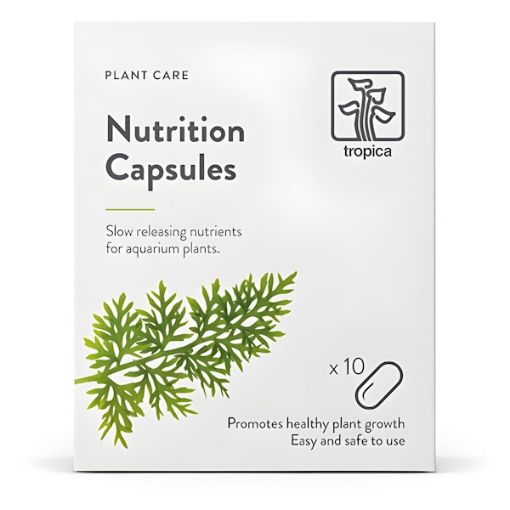 Picture of TROPICA NUTRITION CAPSULES FOR AQ.PLANTS/10PCS