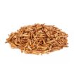 Picture of DELI NATURE CHIX MEALWORMS 500G