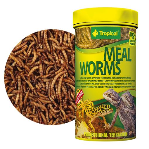 Picture of TROPICAL MEALWORMS DRIED 250ML/30G