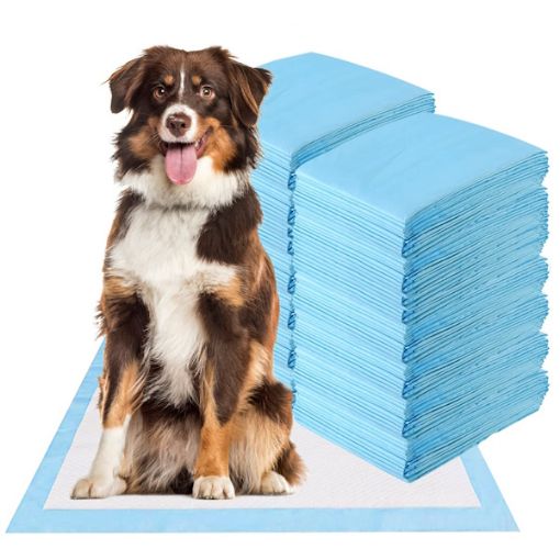 Picture of DOG PADS 60X60CM/14PCS