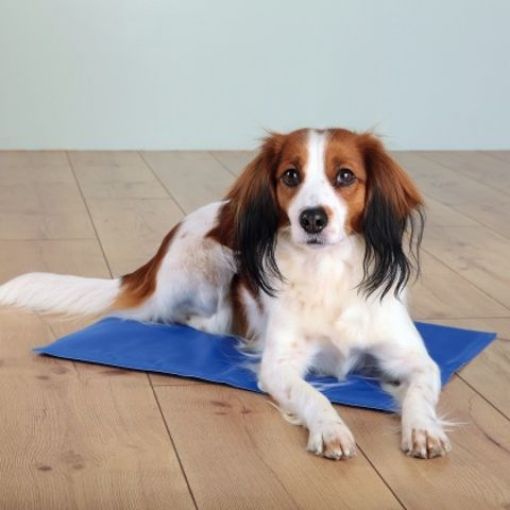 Shop Cooling Mat for Dogs 