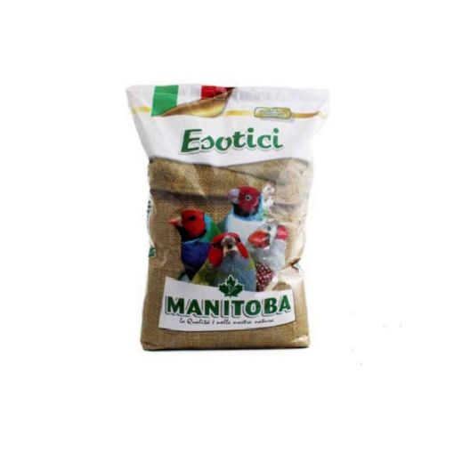 Picture of MANITOBA EXOTIC TROPICAL FINCHES 20KG