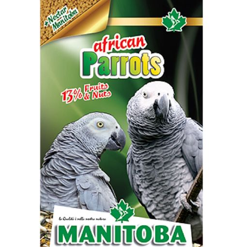 Picture of MANITOBA AFRICAN PARROT 15KG
