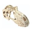 Picture of T-REX SKULL LG 17X8X9CM