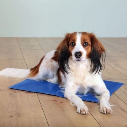 Trixie Cooling Mat for Dogs, Blue, Large Size 