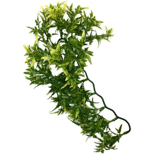 Picture of KOM HANGING PLANT CROTON 30CM